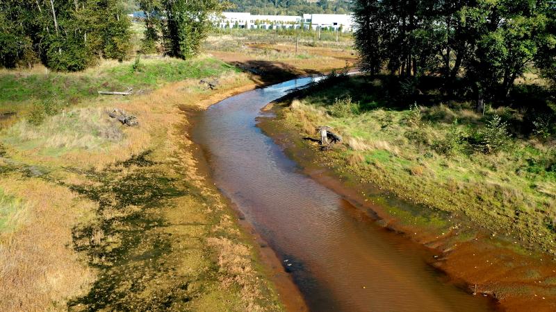 A waterway lined by trees.